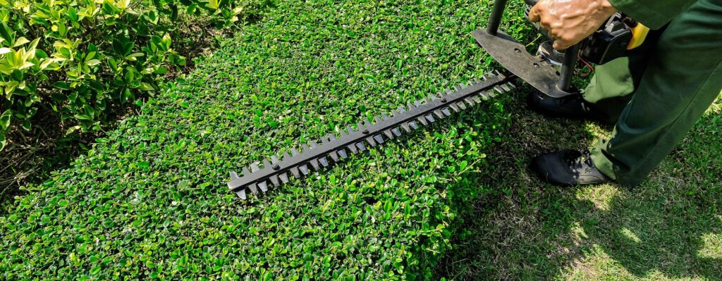 Landscape Maintenance